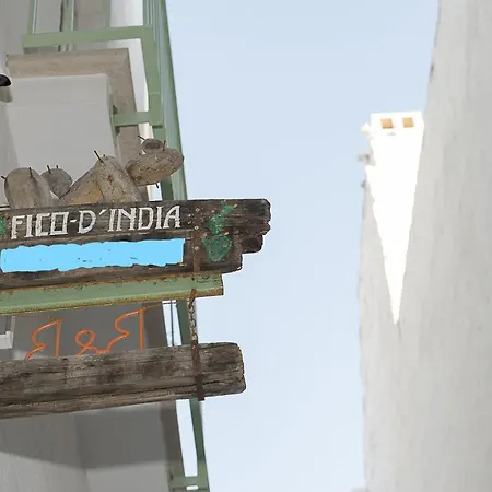 Fico D'india 3*